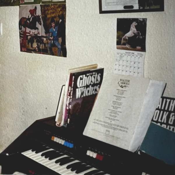 GEM Wizard 315 stage organ in the childhood bedroom of Icebreeze. posters also visible on the wall