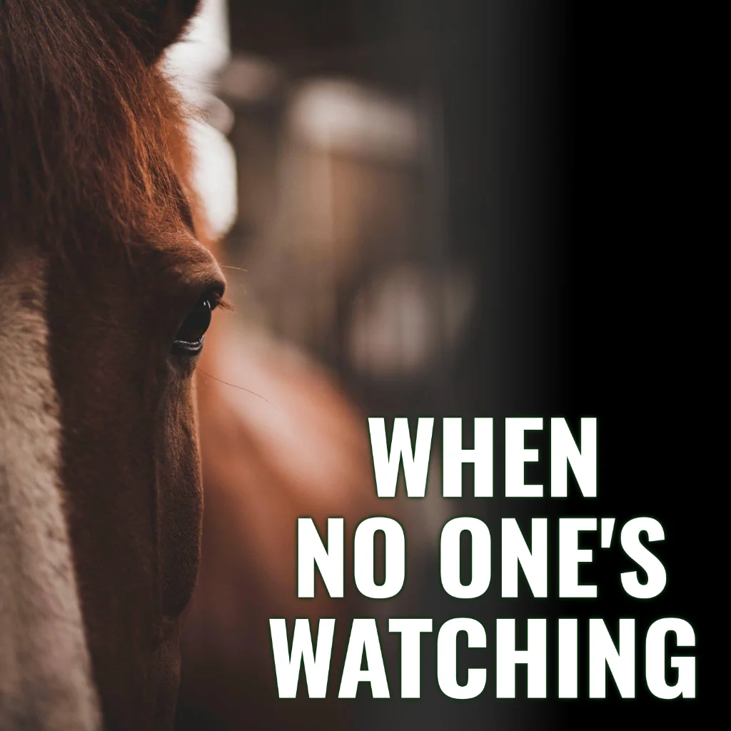 when-no-one's-watching-cover-image